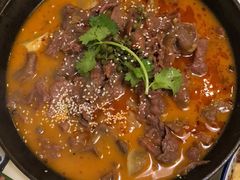 -付掌柜在成都·热炒砂锅集(金禾店)