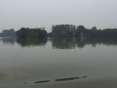 -溱湖国家湿地公园