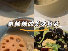 -洞庭家宴·头牌甲鱼(广渠门店)