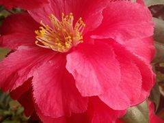 -宝泉胜境旅游度假区