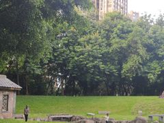 -深圳国际园林花卉博览园