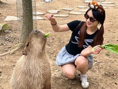 -宁波野生动物园