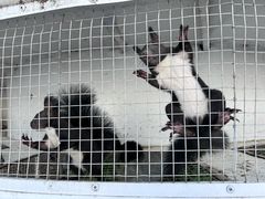 -南戴河国际娱乐中心