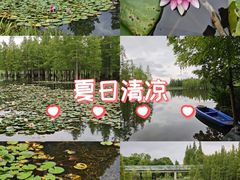 -白鹭湾湿地公园