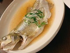 清蒸白丝鱼-逸林轩中餐厅(中信泰富朱家角锦江酒店)