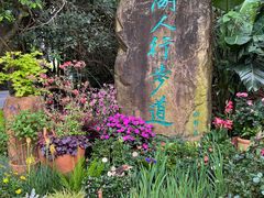 -深圳仙湖植物园