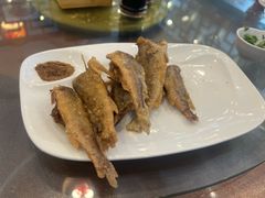 -北京小肠陈饭庄(方庄店)
