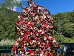 -西双版纳原始森林公园