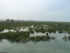 景点-北海金海湾红树林生态旅游区