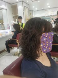 -镁连社·美联社