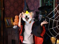 -马猴烧酒二次元cosplay换装写真自拍体验馆