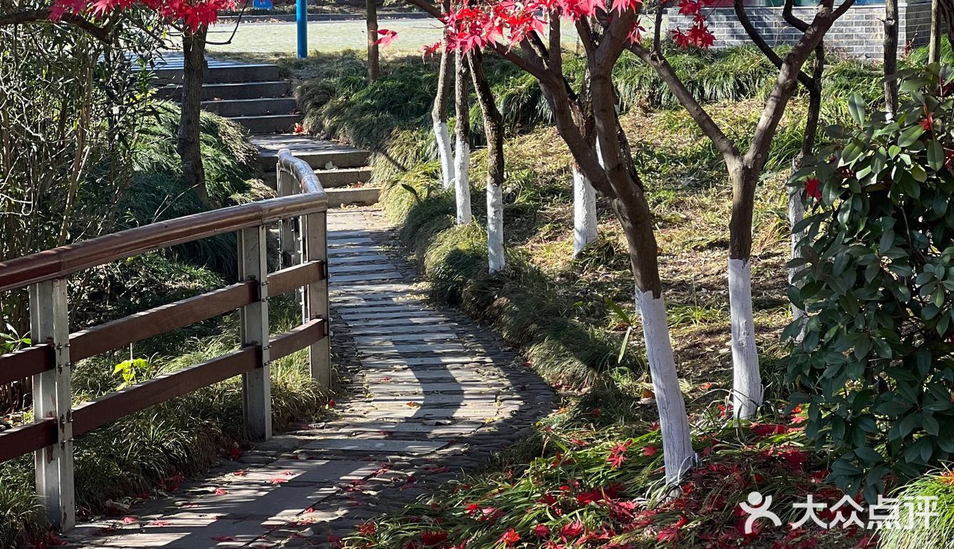 来千岛湖一定要去吃方大茂呀