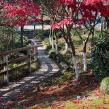 来千岛湖一定要去吃方大茂呀