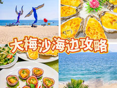 -大梅沙海滨公园