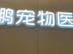 -瑞鹏宠物医院·微创内窥镜·骨外科·牙科(翠竹分院)