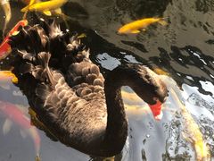 -湖鲜楼