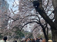 -红星桥(地铁站)