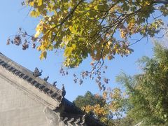 -浮来山风景区