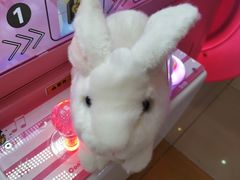 -汤姆熊欢乐世界·史莱姆怪兽(正大店)