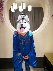 -盘子女人坊古装写真摄影(天津总店)