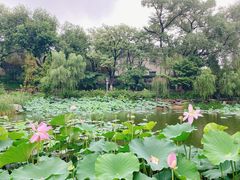-八大处公园