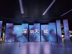 -深圳市当代艺术与城市规划馆