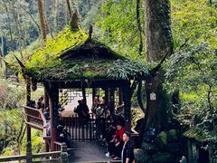 -青城山