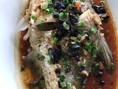 榄角蒸边鱼-肥舅父農莊