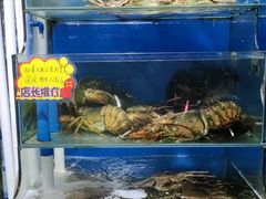 海鲜池-蚝专家(北滘店)