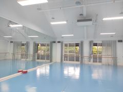 -西安小天鹅艺术团(曲江Alice店)