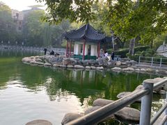 -莲湖公园