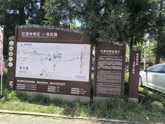 -大围山国家森林公园