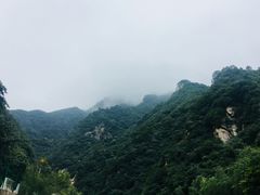 -秦岭风景区