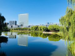 -大兴滨河森林公园