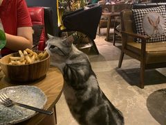 黑松露薯条-咖法森林·咖啡  酒吧(天河店)