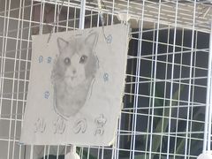 -莱姆星桌游·拼豆·团建