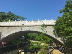 -白水寺森林公园