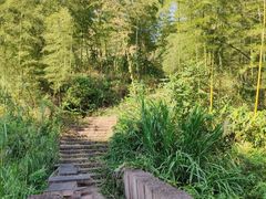 -飞天山旅游区