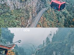 -张家界天门山国家森林公园