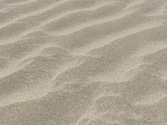 -东郊椰林