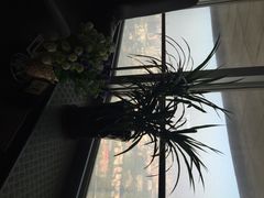 iphone_upload_pic-天塔旋转餐厅