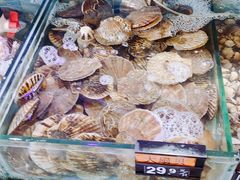 -四海蒸鲜蒸汽海鲜自助(北戴河店)