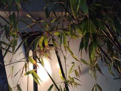 -广富林宰相府酒店·水云间