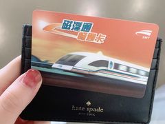 -浦东1号2号航站楼(地铁站)