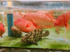 -龙泉海鲜酒楼(龙昆南路店)