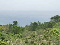 -广东惠东海龟国家级自然保护区