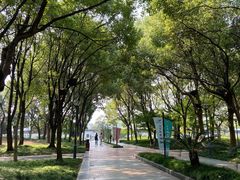 -蠡湖中央公园