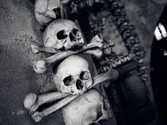 -羊家胡同·龙虾烧烤火锅(龙汇路店)