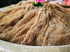 -矮冬瓜红茶火锅