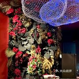 真香｜猴子们陪我吃海鲜大餐